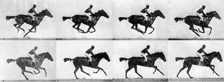 Generating Multiple Java Thread Dumps in Linux_Horse