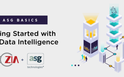 Getting Started with ASG Data Intelligence